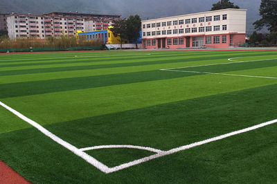 广东众越体育体育厂家清远塑胶跑道、球场施工